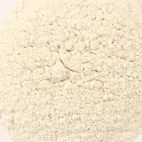 Ground ground garlic (powder)