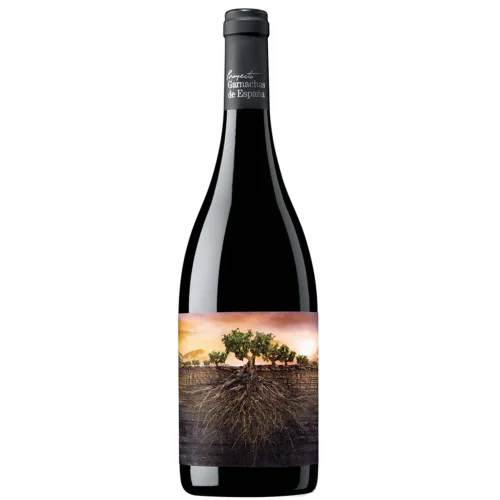 Wine protected name of the origin of the region of Calatayud category DO Red Dry La Garnach Olvidad de Aragon 15% 0.75