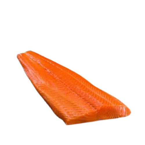 Salmon fillet on the bone