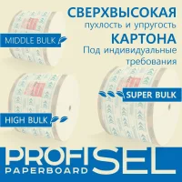 Laminated cardboard ProfiSel Paperboard, bleached, professional, 210 g/m2 (GSM)
