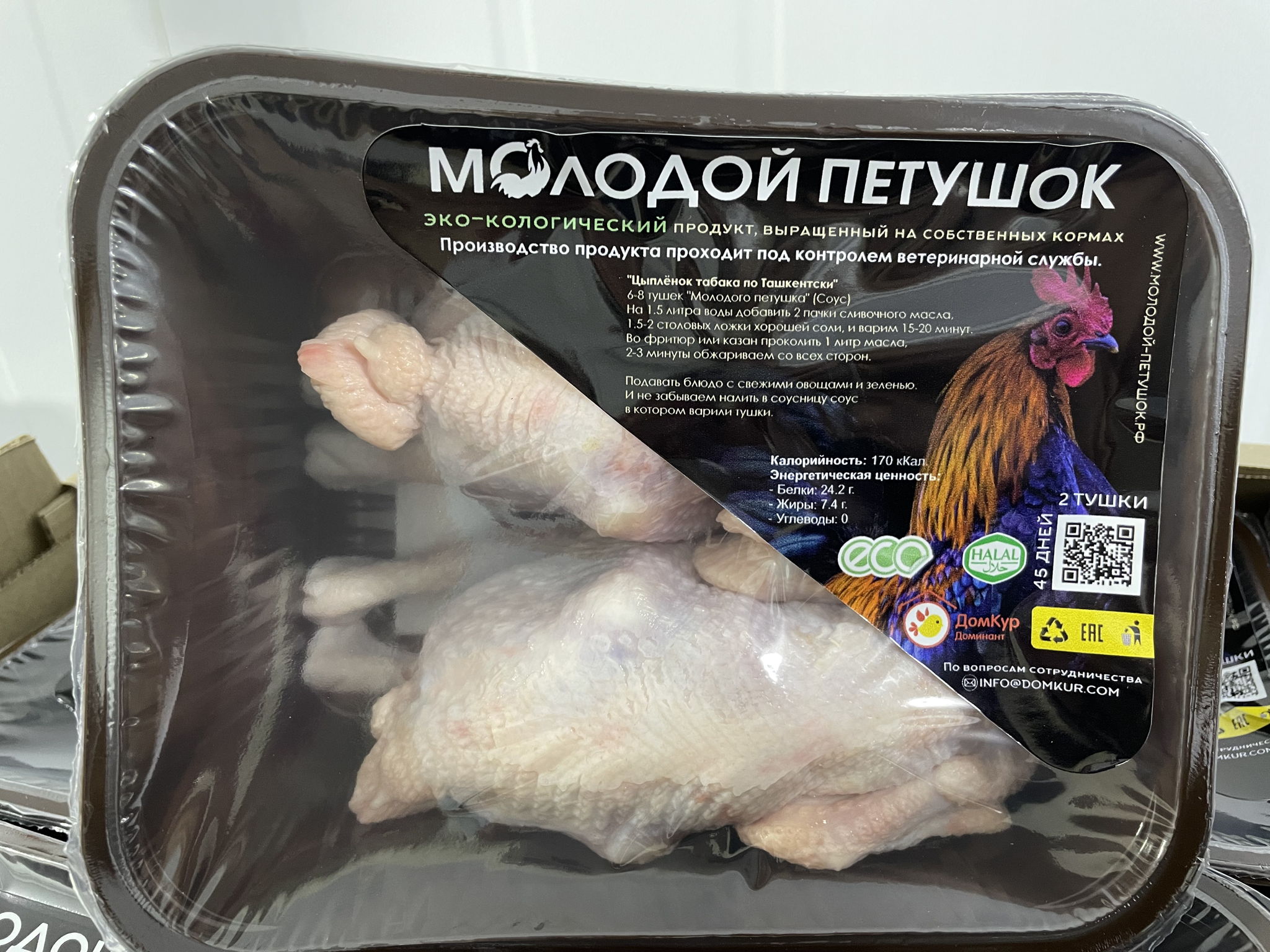 Молодой петушок