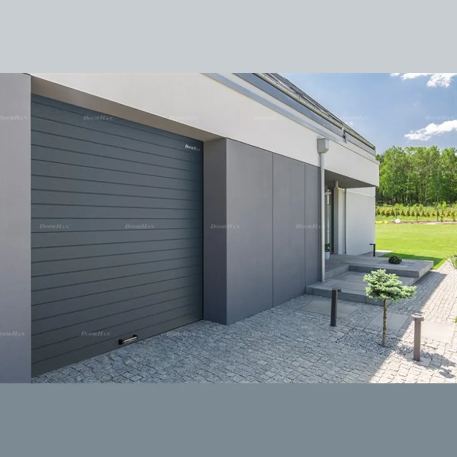 Sectional garage doorhan RSD01 BIW (2200x2300)
