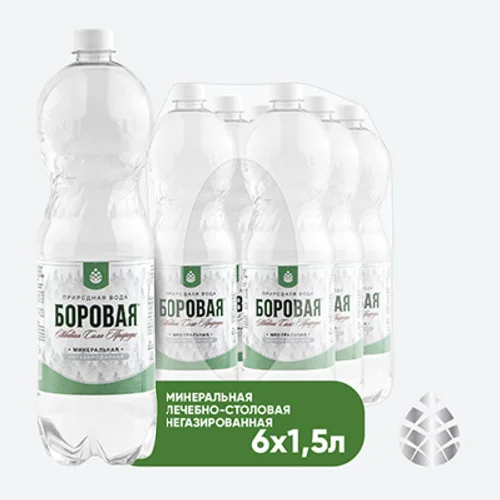 BOROVAYA water (BOROVAYA)therapeutic and canteen mineral drinking natural sulfate-calcium non-carbonated, PET, 1.5 l x 6 pcs