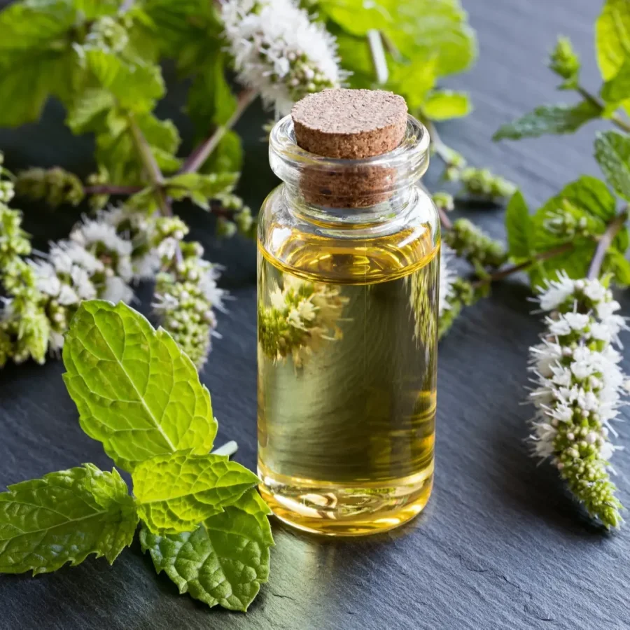 Massage oil pimium with mint essential oil