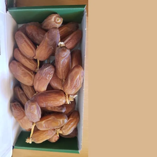 Organic High Quality Pure Dates, Sweet Semi Dry Dates Supplier from Algeria | Dates at Bes