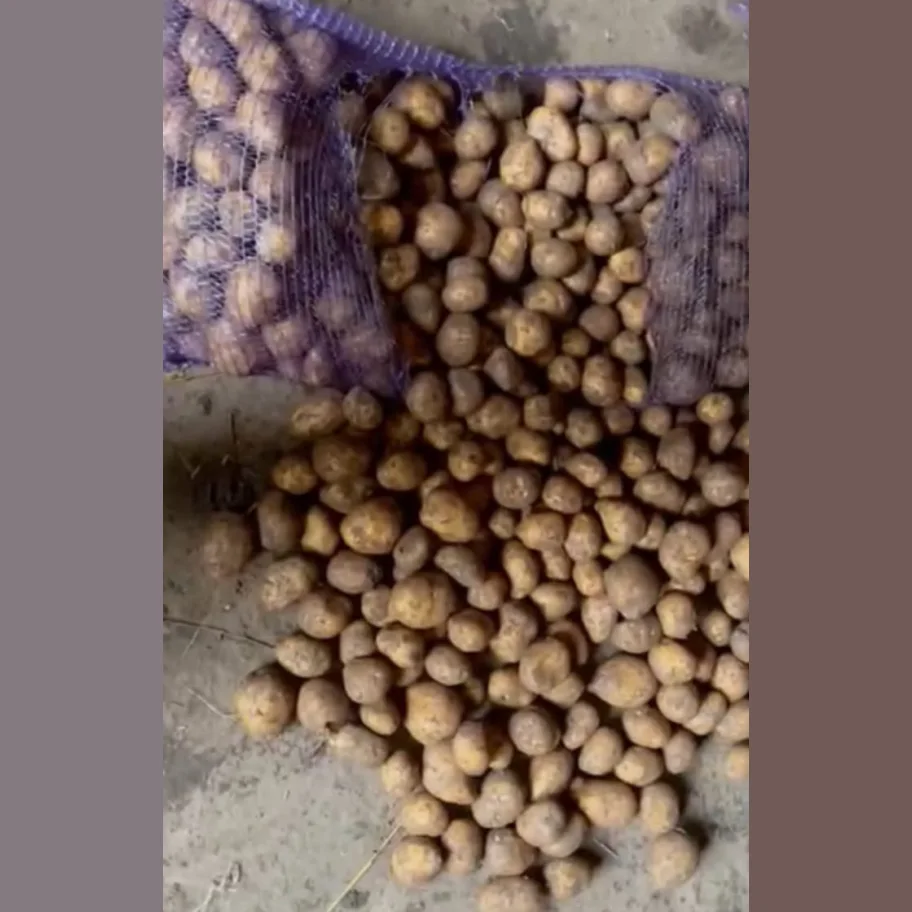 Potatoes wholesale, Gala 45+, from the manufacturer 27p./kg.