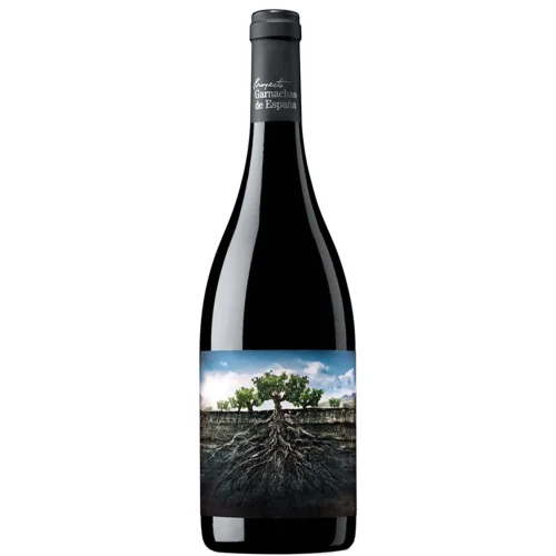 Wine of the protected geographical indication of the Ribera del Cayles region dry red LA GARNACHA SALVAJE DEL MONCAYO 2018 13.5% 0.75