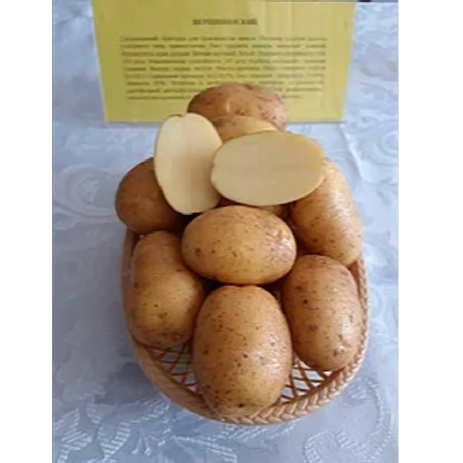 Seed potato grade Verkhinsky super elite fraction 28-38