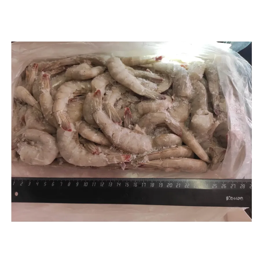 Shrimp vannamey 26/30, headless, freshly frozen 