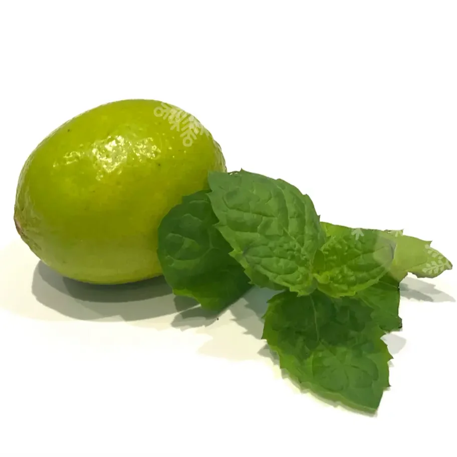 Pasteil Natural without sugar APTITELLE "Strawberry Mojito" with lime and mint
