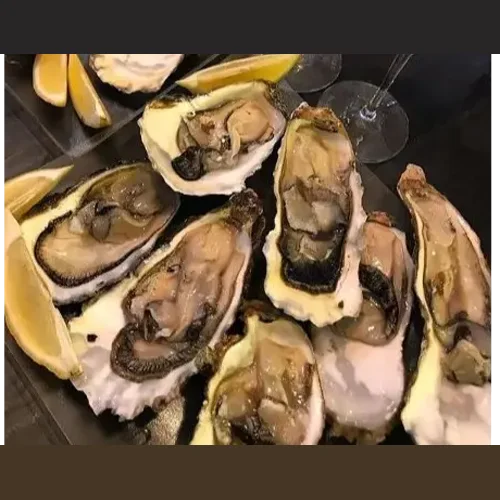 Oysters on the n/sash