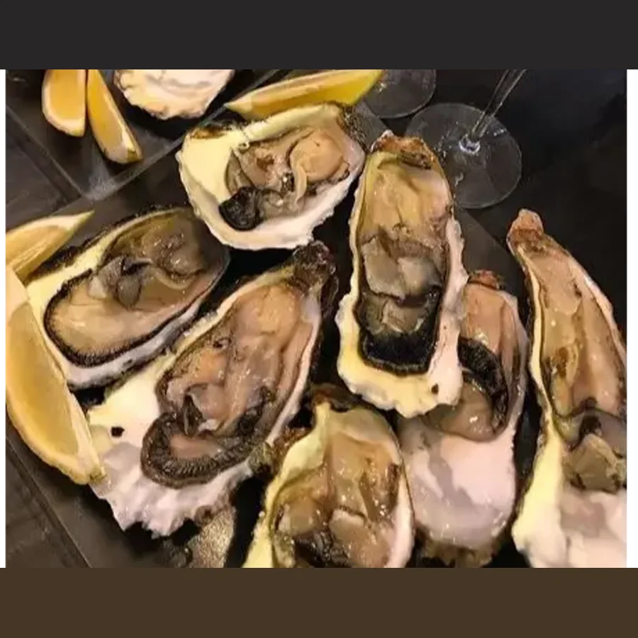 Oysters on the n/sash