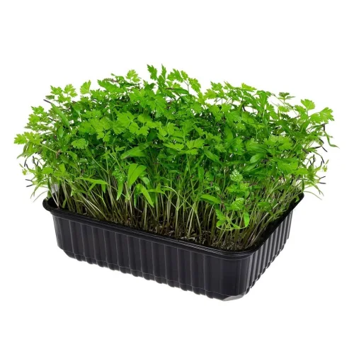 Microselen of parsley 750 gr