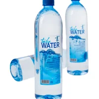 Water drinking Turkinskaya 1 l.
