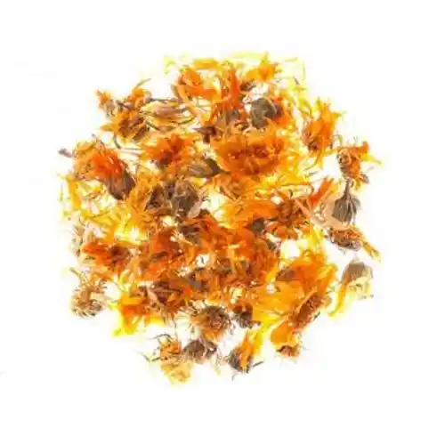 Calendula Buy for 1 roubles wholesale, cheap - B2BTRADE