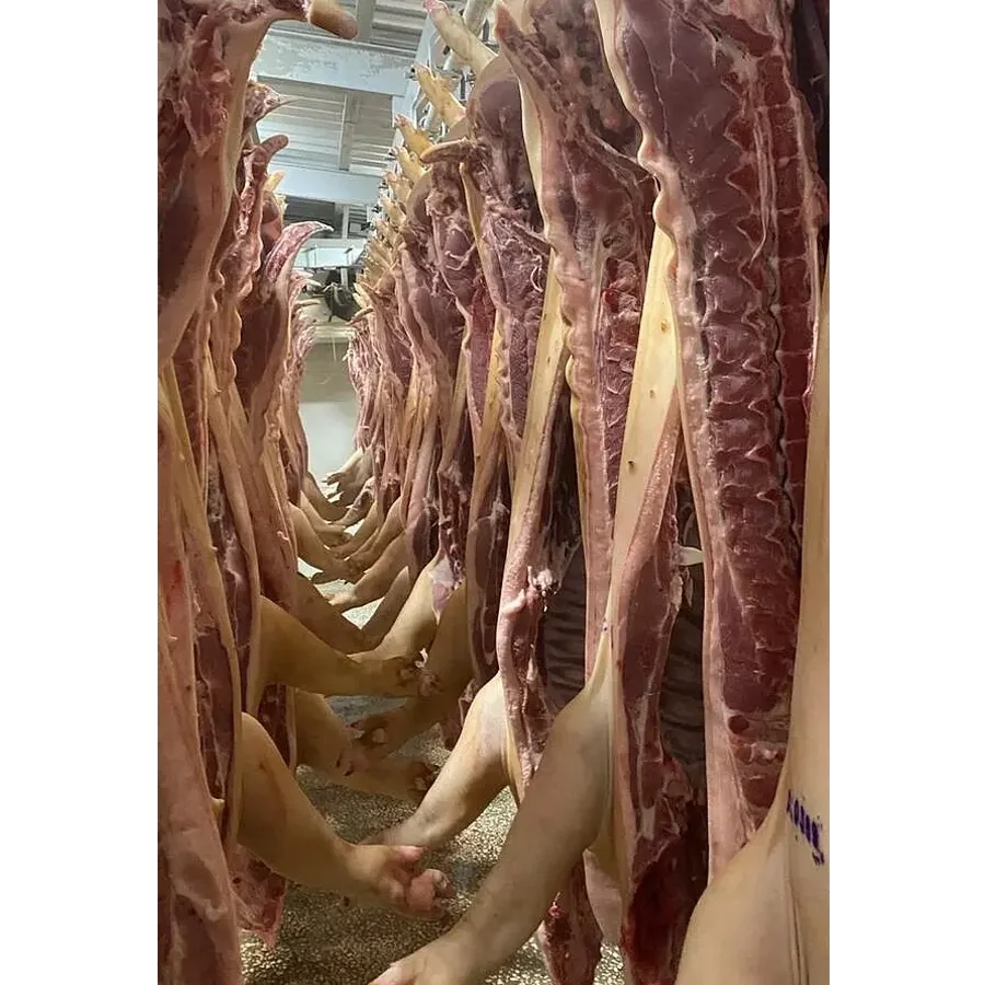 Pork meat in half carcasses