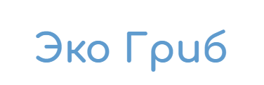 Эко Гриб