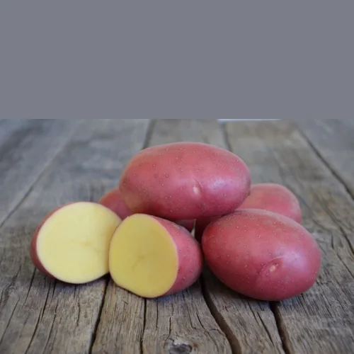 Potato grade rosera