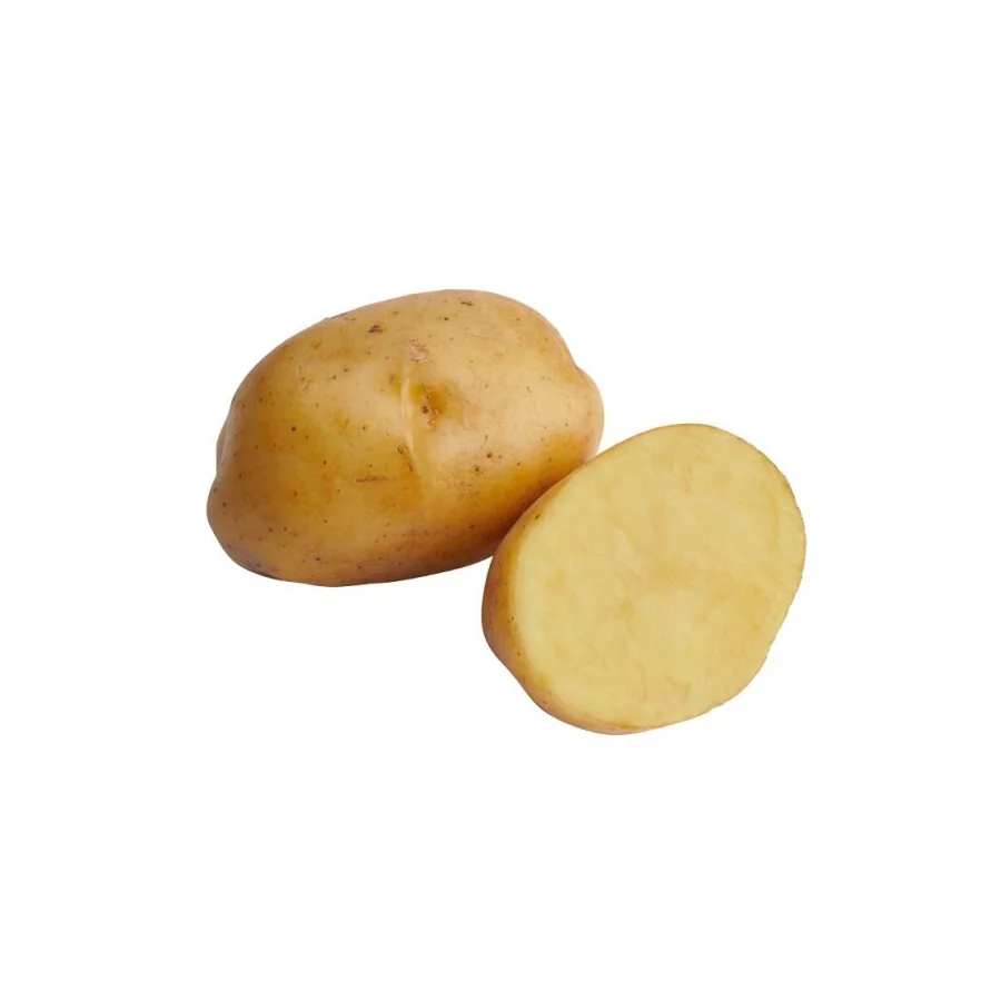 Seed potatoes "METEOR"