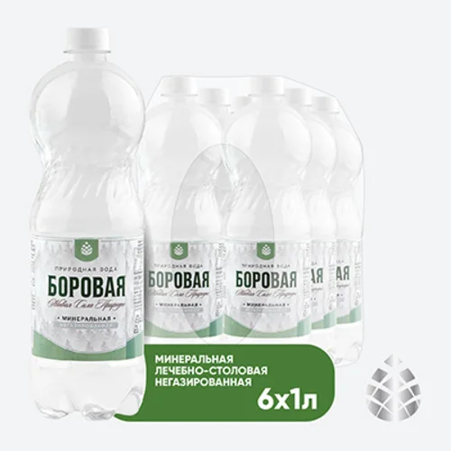 BOROVAYA water (BOROVAYA)therapeutic and canteen mineral drinking natural sulfate-calcium non-carbonated, PET, 1L x 6 pcs