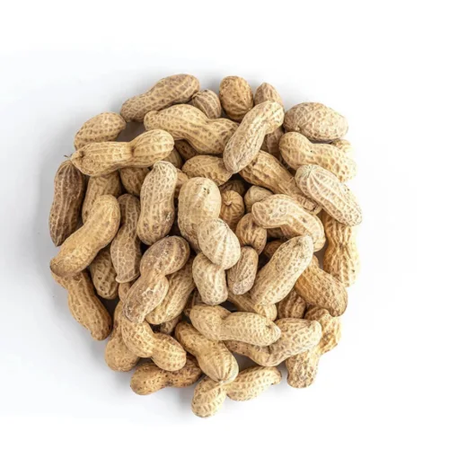 Dried peanuts in shell