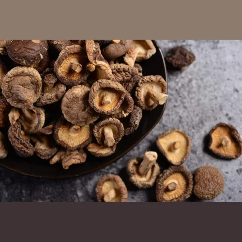 Mushrooms dried Shiitake