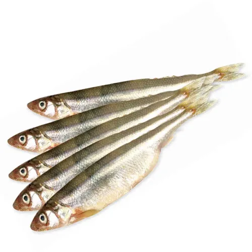 Small - mouthed smelt
