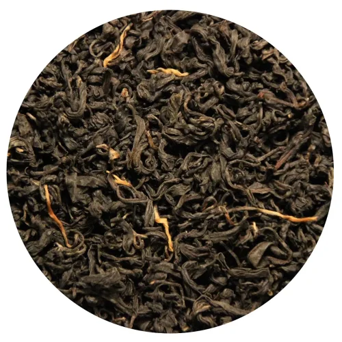 Georgian black solicular tea