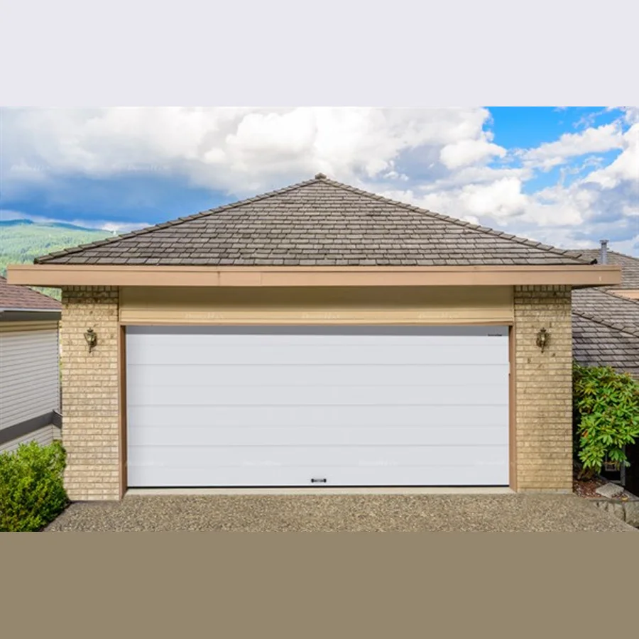 Doorhan RSD02 Garage Gate (5400x1800)
