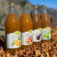 Nectars MOGOH (Dagestan) Apricot, Apple, Plum, Peach, Apple-apricot 0.5 l. 