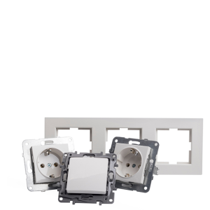 Sockets, Switches and Frames
