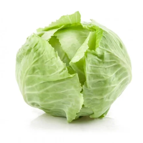Cabbage white grade Kolya