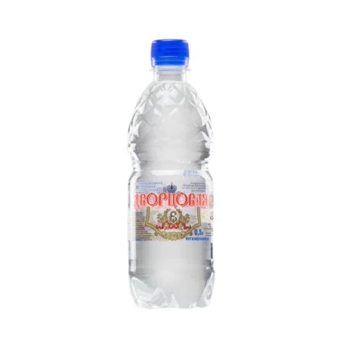 Natural mineral water "Dvortsovaya", n/gas, 0.5l