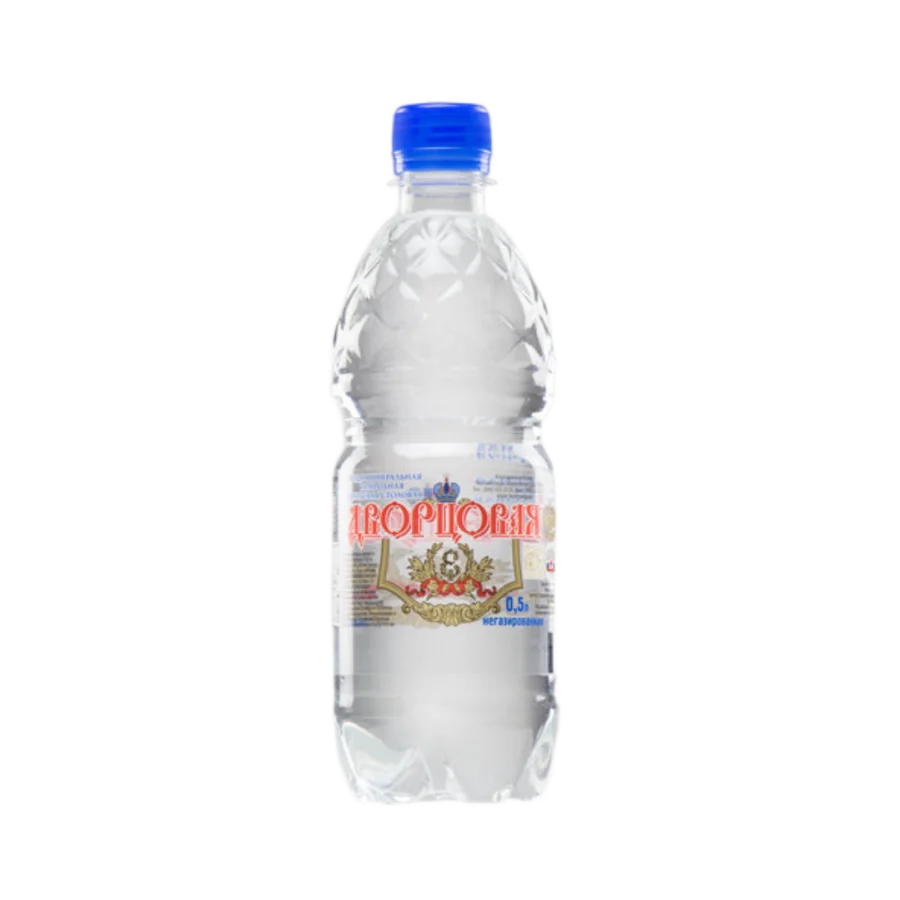 Natural mineral water "Dvortsovaya", n/gas, 0.5l