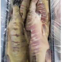 Fresh frozen chum salmon