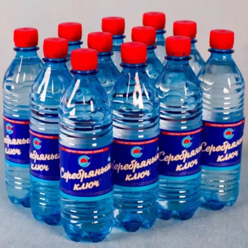 Mineral water non-carbonated 0.5 l