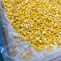 Frozen grains of corn