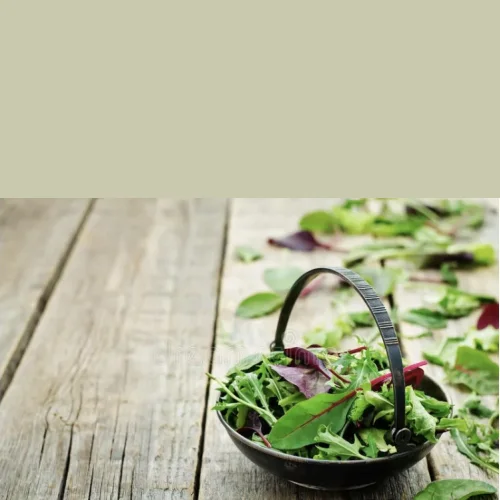 Arugula , baby spinach, chard, mixed salad