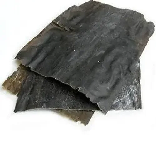 Algae dried leaf Kombu