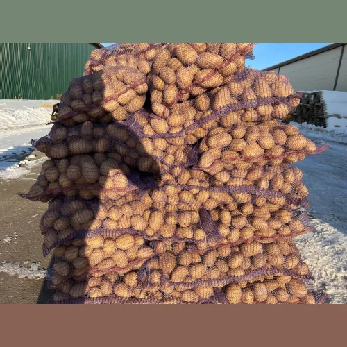 Potatoes wholesale from the warehouse of the Nizhny Novgorod farm
