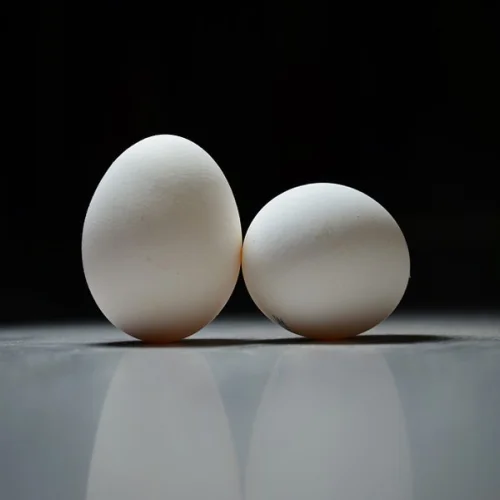 Chicken egg C1, CO, C2 