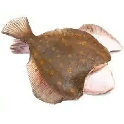 Flounder headless 21cm+