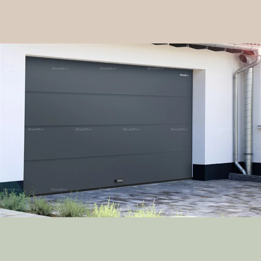 Sectional garage doorhan RSD01 BIW (2600x2700)
