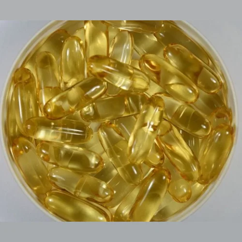 best quality good price of fish oil