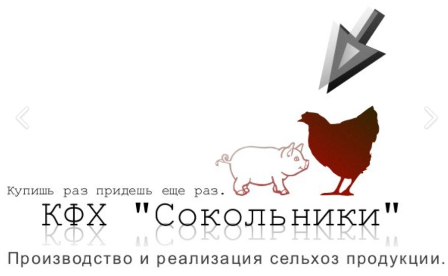 Волкова Т.П.