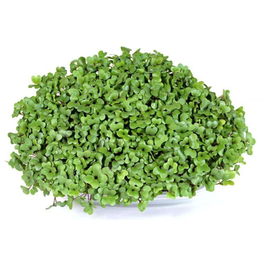 Микрозелень Кольраби 80 гр