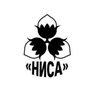 Ниса