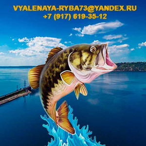 Vyalenaya-Ryba73