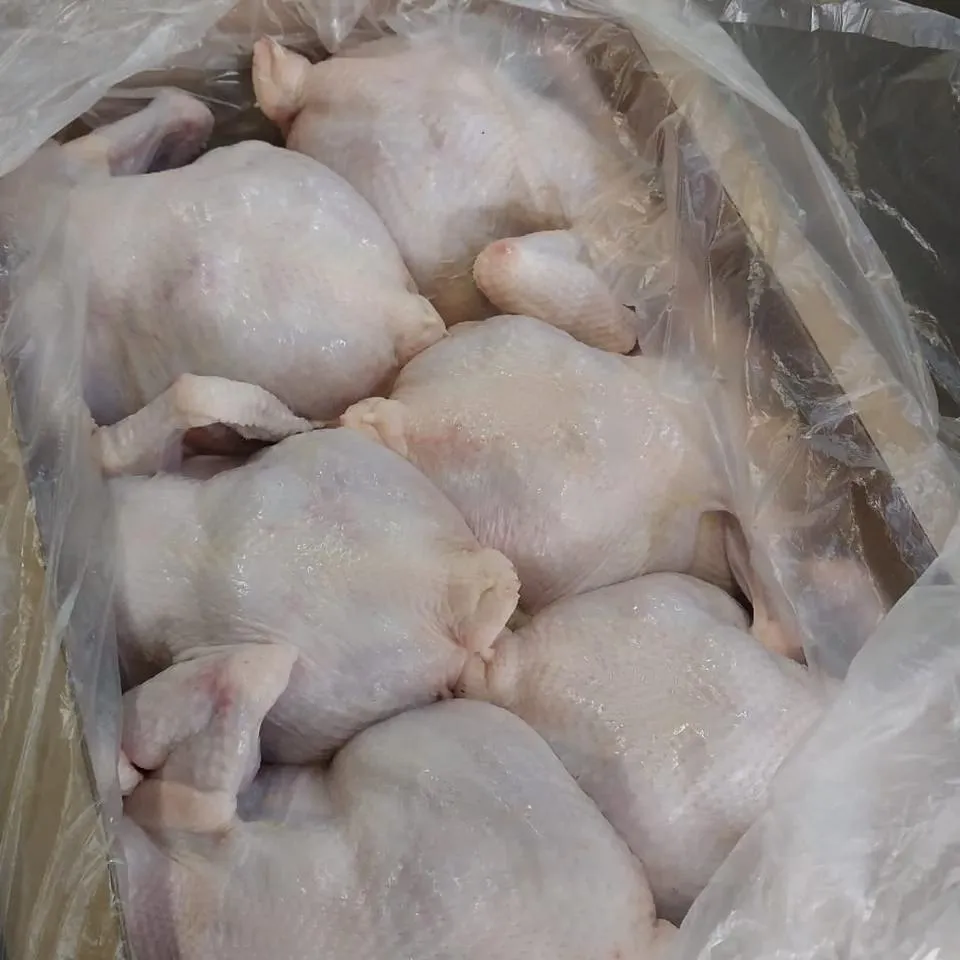 Broiler chicken carcass (chilled)