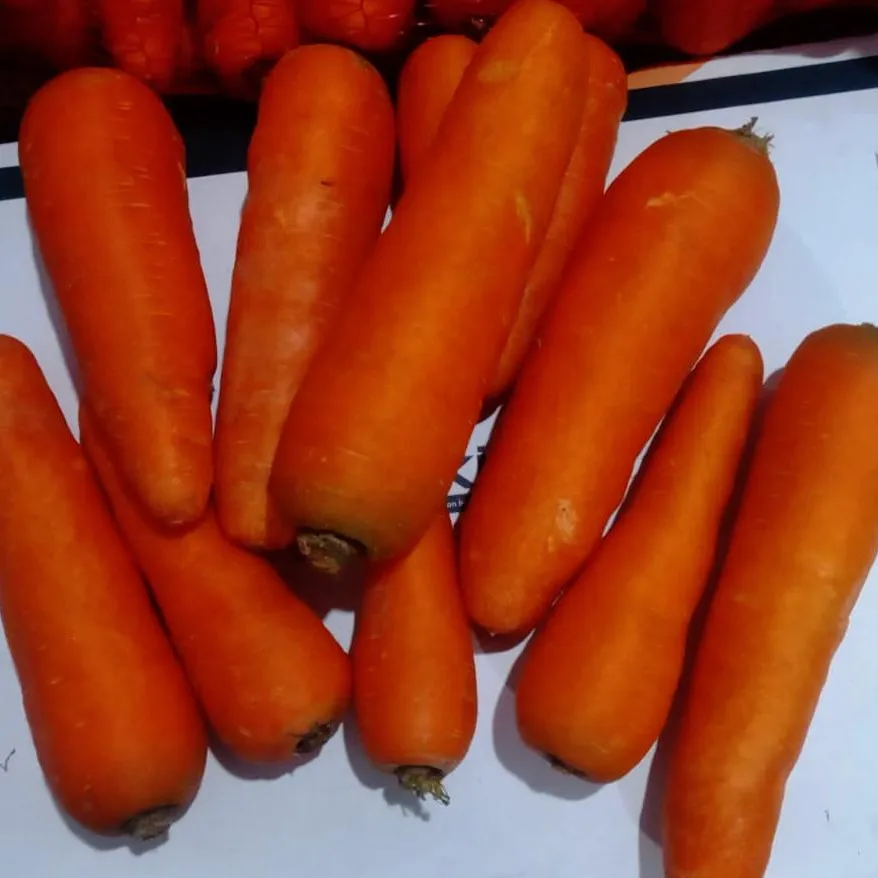 Washed carrots